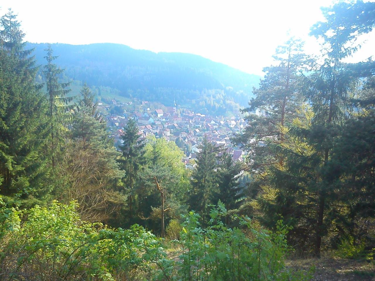 Landhaus Lautenthal Exterior foto